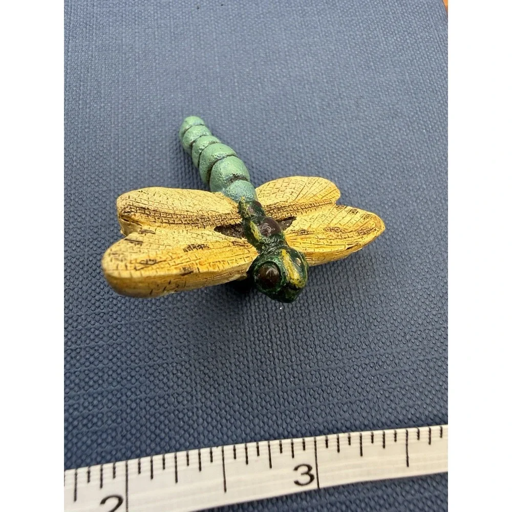 Unkown safari dragonfly